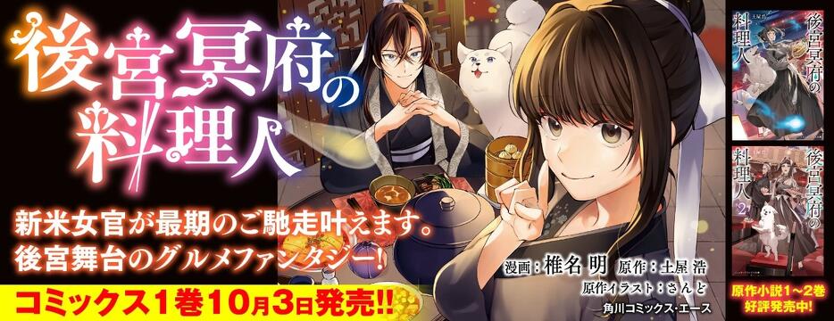 【今年廃棄予定】電撃文庫　電撃hp[絶版] アスキーディアワークス Amazon.co.jp: アスキー・メディアワークス(ASCII MEDIA WORKS